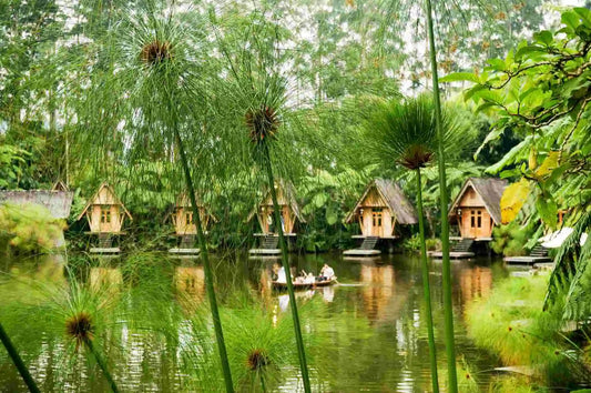 Retiro de bienestar en Asia con yoga y meditación en la naturaleza